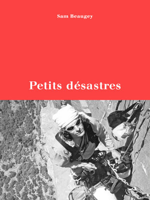 cover image of Petits désastres